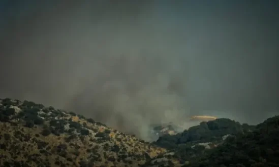 palampas-thesprotias-fotia