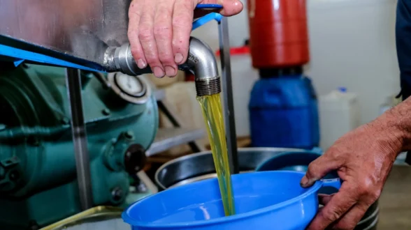 oliveoilextraction-elaiotrivio