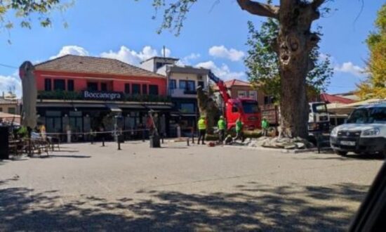 plateia-mavili-platania