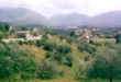 trikorifo-filiates-girokomeio