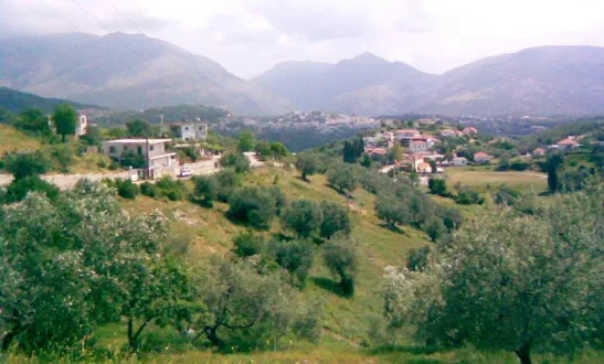 trikorifo-filiates-girokomeio