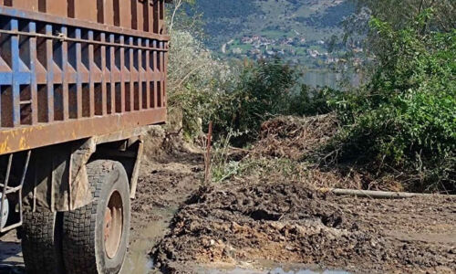 ergotaksio-xantaki-ioannina