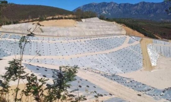 karvounari-xyta-aporrimmata