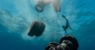 katharismos-ditis-thalassa