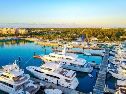 marina-giot