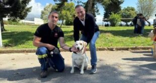 mpegkas-ioannina-adespota-ekdilosi