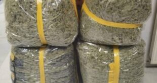 narkotika-arta-15-10