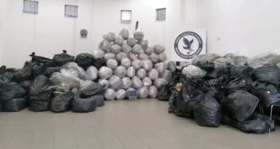 narkotika-kannabi-tripoli-19-10-2024