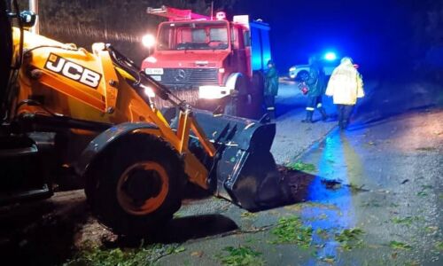 ptoseis-dentron-PARAKALAMOS