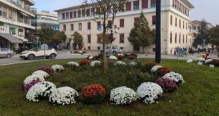 louloudia-dimos-ioanniton