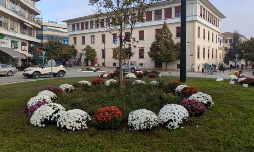 louloudia-dimos-ioanniton