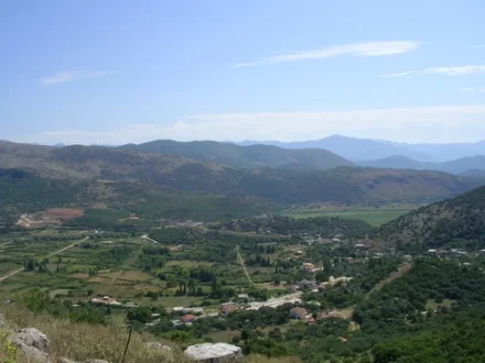margariti-kampos