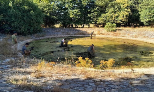 ofipeka-monada-ipeirou