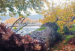 platanos-limni-ioannina