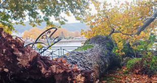 platanos-limni-ioannina