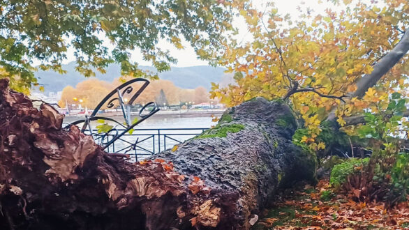 platanos-limni-ioannina