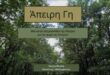 apeiri-gi-tainia