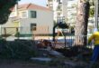 dentra-sxoleio-preveza