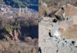 katolistisi-metsovo-anilio