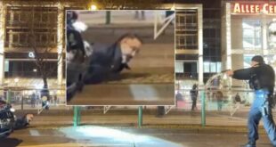 makeleio-mademvourgo-drastis-GERMANIA