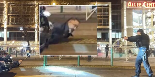 makeleio-mademvourgo-drastis-GERMANIA