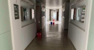 panepistimio-ioannina-vlaves