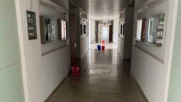 panepistimio-ioannina-vlaves