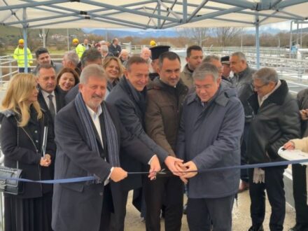 viologikos-ioannina-egkainia