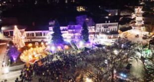 xristougenniatiko-dentro-konitsa