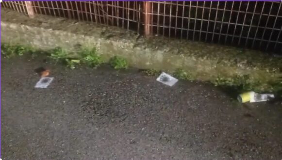 filiates_alytrotika-filladia