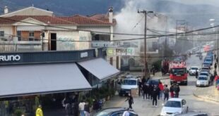 fotia-diamerisma-ioannina-10-1