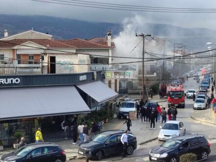 fotia-diamerisma-ioannina-10-1