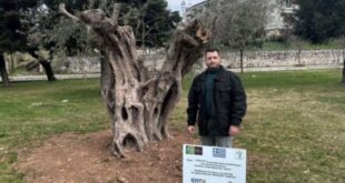 palasxas_elies-ioannina