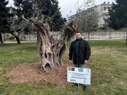 palasxas_elies-ioannina