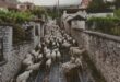 provata--gidia-zagori-oikomouseio