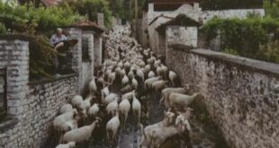 provata--gidia-zagori-oikomouseio