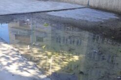 sxoleio-auli-ioannina