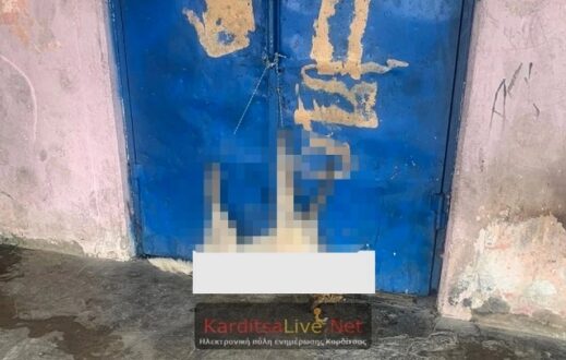 sxoleio_skuli-karditsa