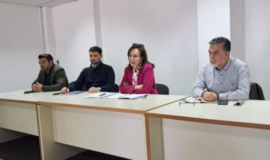 Diamantopoulou-pasok-ioannina