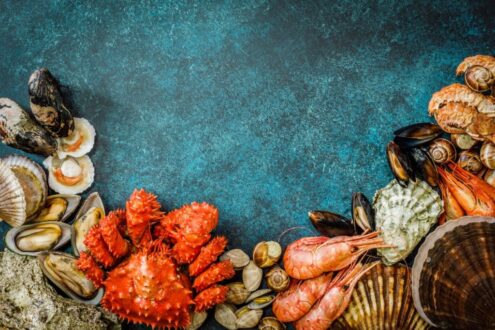 thalassina-psaria-ostraka