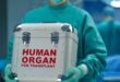 dorea-organon