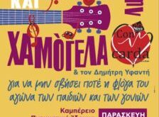 floga-edilosi-ioannina-28-4