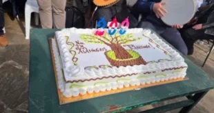 genetlia-platanos-KOUKOULI