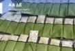 kastanies-aade-katasxesi-xrimaton
