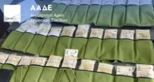 kastanies-aade-katasxesi-xrimaton