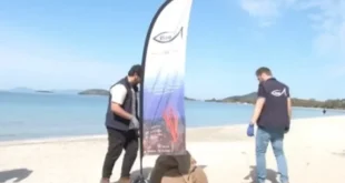 katarismoi-paralia