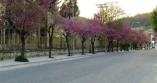 koutsoupies-ioannina