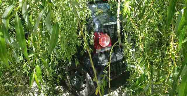 ptosi-dentrou-ktel-ioannina