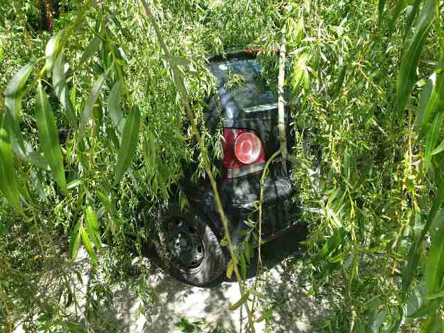 ptosi-dentrou-ktel-ioannina