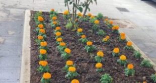 souliou-draseis-katharismou